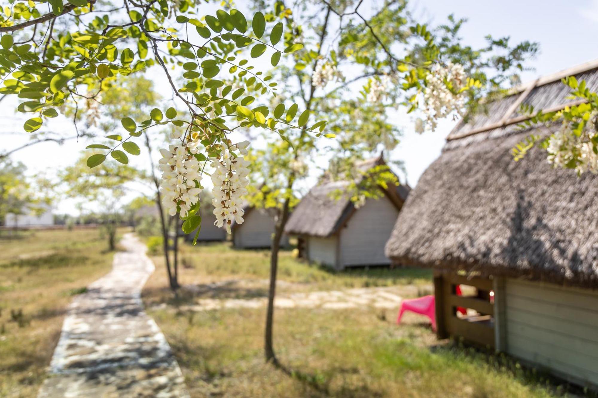 Dolphin Camping Sfântu Gheorghe Exterior foto